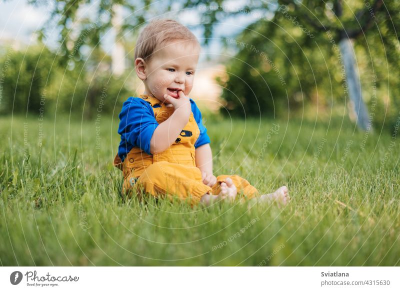 Glückliche charmante Baby Junge in modische Kleidung sitzen auf dem Gras im Garten an einem Sommertag Kind niedlich bezaubernd Tag Sitzen grün Spaß Park Wiese
