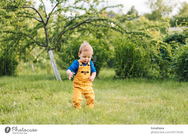 Glückliches Baby im Freien, Spaziergänge mit Kleinkind im Sommergarten Kind Garten Junge Lächeln Spaziergang lässig Lachen Freitreppe toddlersmile Spaß niedlich