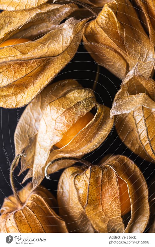 Muster von Physalis auf dunklem Tisch Hintergrund übergangslos Frucht exotisch Peruanische Erdkirsche Reihe Linie lecker organisch orange Kulisse