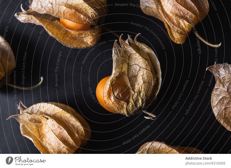 Muster von Physalis auf dunklem Tisch Hintergrund übergangslos Frucht exotisch Peruanische Erdkirsche Reihe Linie lecker organisch orange Kulisse