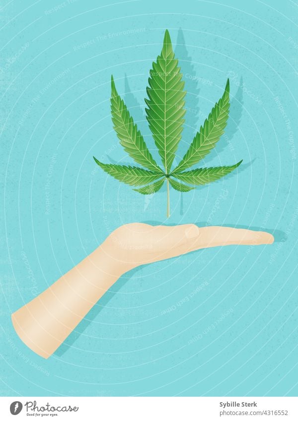 Hand mit darüber schwebendem Cannabisblatt medizinisches Marihuana Blatt Alternativmedizin Medizin Medikament Heilung Gesundheit Sativa natürlich Hanf Pflanze
