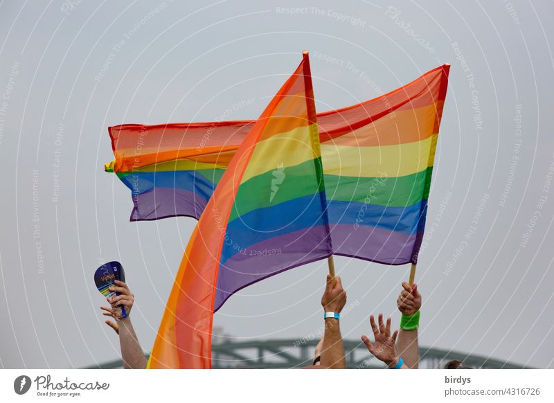 Menschen schwingen Regenbogenfahnen Hände Regenbogenfarben queer Homosexualität Regenbogenflagge Liebe Toleranz Vielfalt Respekt Gleichstellung Freiheit