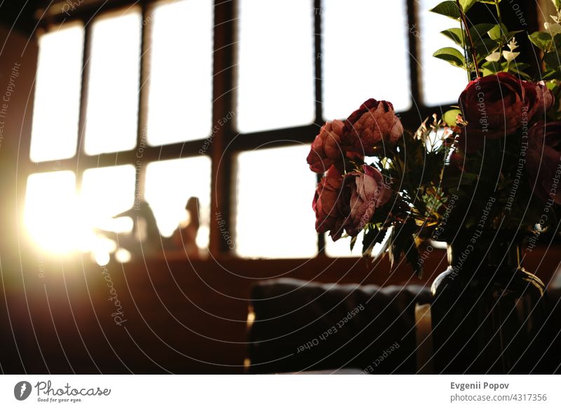 Rote und rosa Blumen, die während der goldenen Stunde eingefangen. Mit unscharfen jungen Mädchen Modell posiert auf der Rückseite, während liegt auf Fensterbank