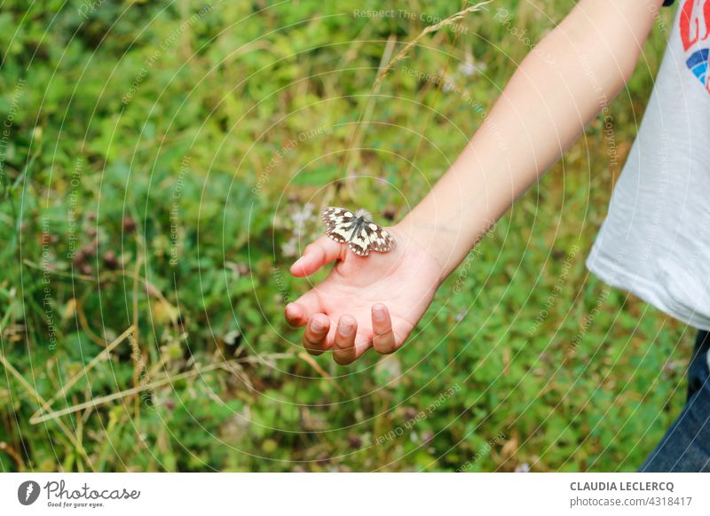 Schmetterling auf einem Kind Hand in einem sonnigen Tag Kinderhand Kinderarm Natur Arme Kindheit Mensch Farbfoto Finger sonniger Tag Frankreich Feiertage