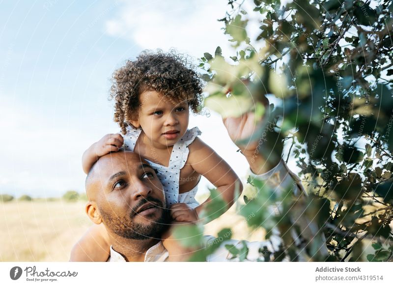 Schwarzer Vater und kleines Mädchen erkunden die Natur im Sommer Tochter neugierig Interesse Zusammensein Landschaft Eltern schwarz Afroamerikaner ethnisch
