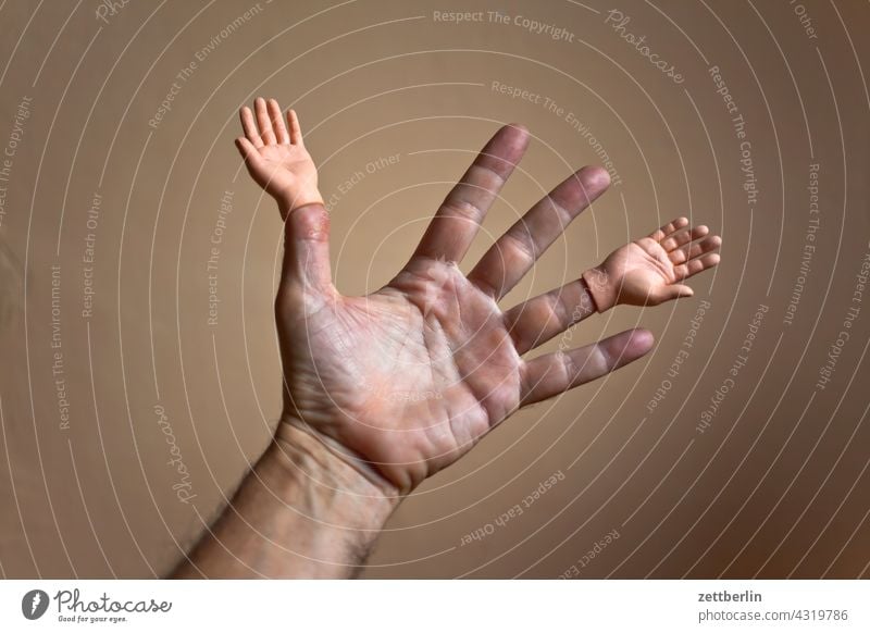 Hand mit Händen anatomie aufsatz daumen doppelt ersatz finger geste hand kleiner finger mann mensch mittelfinger puppe puppenhand ringfinger spielzeug