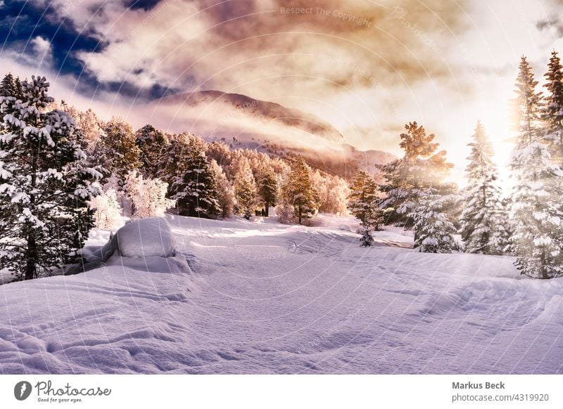 Weihnachten Schnee Landschaft mit Bäumen und sunflare, stryn, Norwegen wolkig Sonnenaufgang Sonnenuntergang Skandinavien Hintergrund Natur schön Tanne Saison