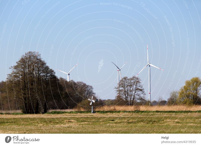 Nachwuchs  ;-) - auf einer Wiese steht ein Mini-Windrad, hinter Bäumen vor blauem Himmel drei große Windkraftanlagen Strom Stromerzeugung Energie