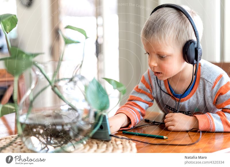 Kleiner Junge wares Kopfhörer und spielen das Handy Kind Haus Apparatur Headset zuschauend Technik & Technologie Internet hören Gesicht Freizeit Lifestyle