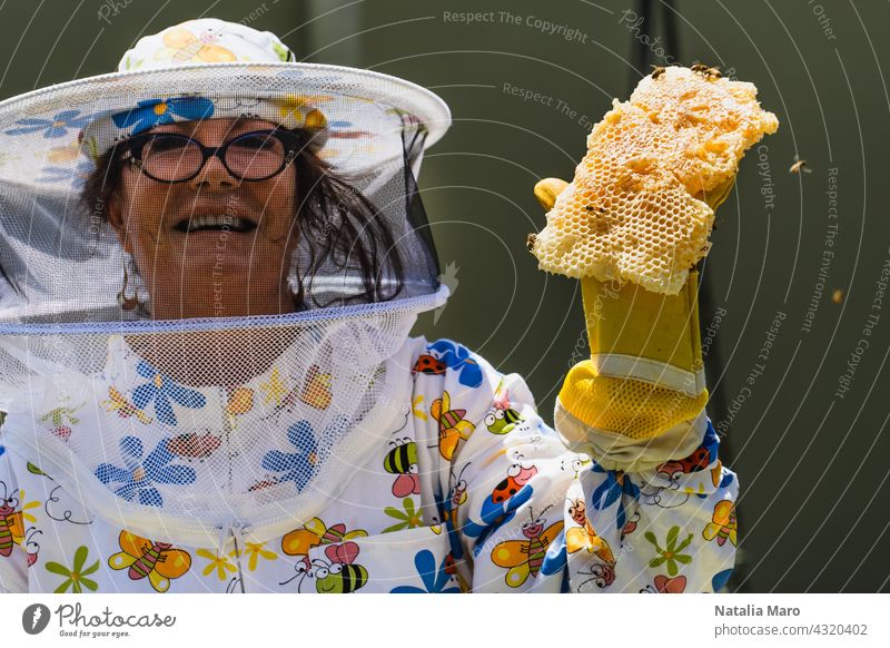 Imker Imker hält Honigwaben Frau Rahmen Lebensmittel Sommer Natur Frühling Wabe Bienenstock Bauernhof Menschen Bienenzucht Ackerbau Liebling Bienenkorb