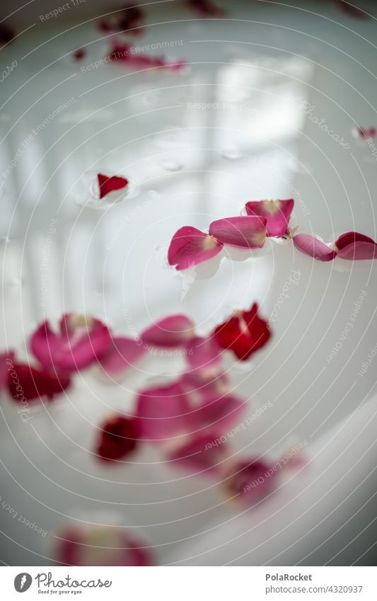 #A# Blütenbad am Wellnesswochenende Wellness-Konzept wellnessbereich Wellnessbehandlung Wellnesswochende entspannung Milch blütenbad Blütenblatt Rosenblätter