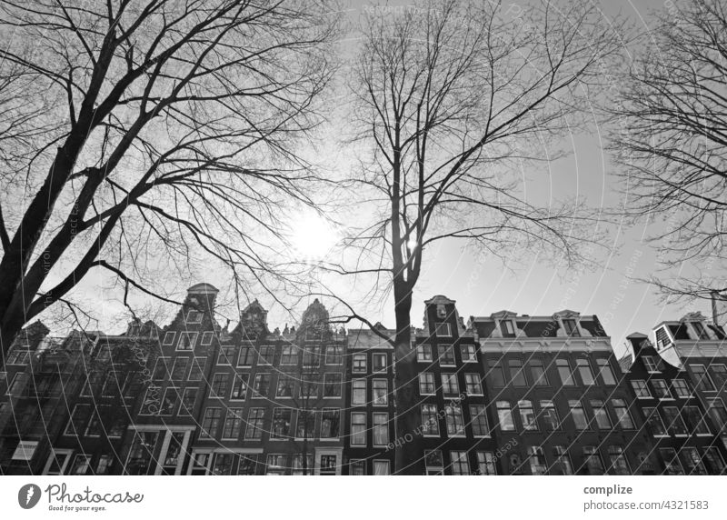 Winter in Amsterdam Niederlande Stadt Krachten Häuser schwarz weiß Stadtzentrum Kanal historisch alt Sehenswürdigkeit Bäume kalt