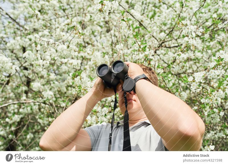 Mann beobachtet Vögel durch ein Fernglas im Wald Vogelbeobachtung beobachten Reisender Wälder erkunden bewundern Umwelt männlich Abenteuer Baum grün Sommer