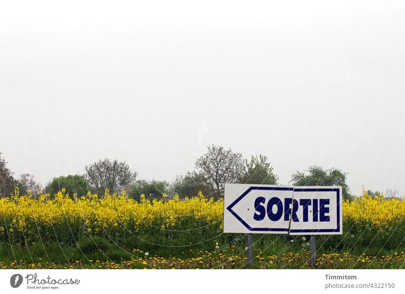 Beschädigtes Schild SORTIE - dahinter Feld und Bäume Schilder & Markierungen Hinweisschild Ausfahrt französisch beschädigt Schriftzeichen Natur Himmel