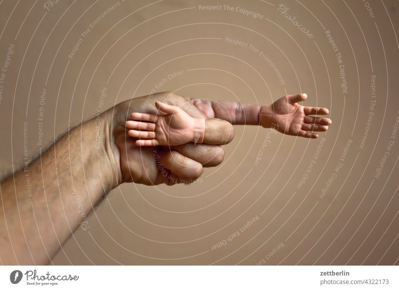 Hand mit Händen anatomie aufsatz daumen doppelt ersatz finger geste hand kleiner finger mann mensch mittelfinger puppe puppenhand ringfinger spielzeug