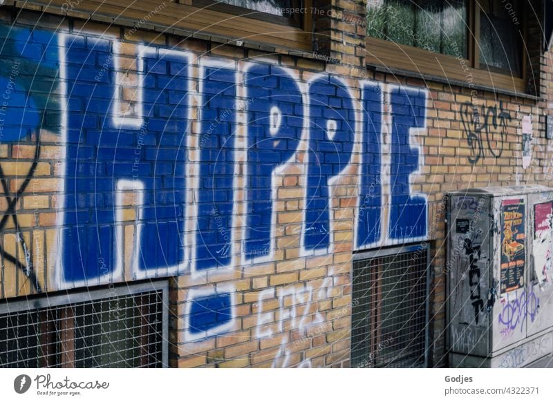 Wort 'Hippie' an eine Hauswand gemalt| gezeichnet & gemalt Graffiti Schriftzeichen Wand Fassade Mauer Außenaufnahme Menschenleer Buchstaben Zeichen Farbfoto