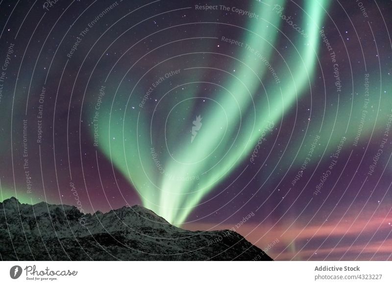 Spektakuläre Nordlichter in Tromso Aurora Kattfjorden Insel Kvalya Region Norwegen Winter Nacht borealis Landschaft Island Norden Raum Himmel nördlich