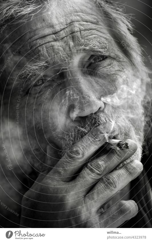 Porträt eines Mannes mit Lebenserfahrung, der raucht rauchen Zigarette Raucher Senior Bart grauhaarig bärtig altern Runzeln Falten interessant Klaus Künstler