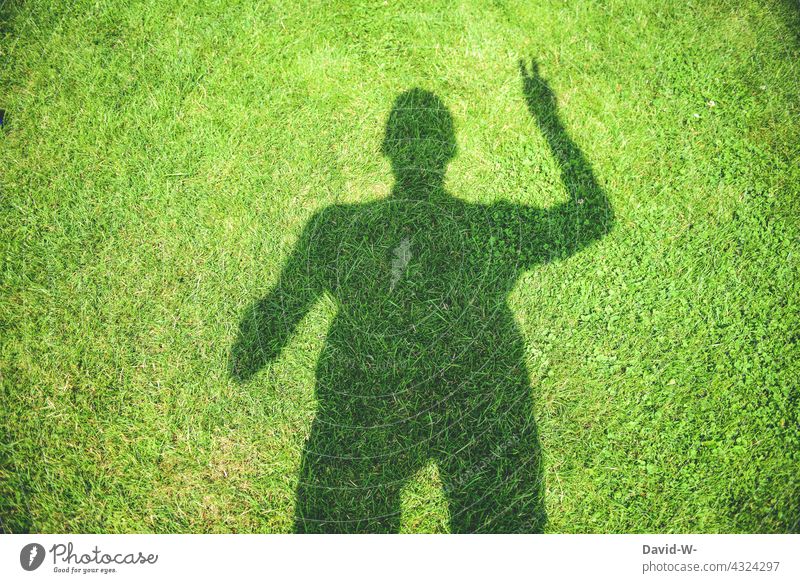 Schatten eines Mannes mit Peace-Zeichen friedenszeichen Finger Frieden konzept kreativ Versöhnung lässig grün nachhaltig Natur umweltfreundlich