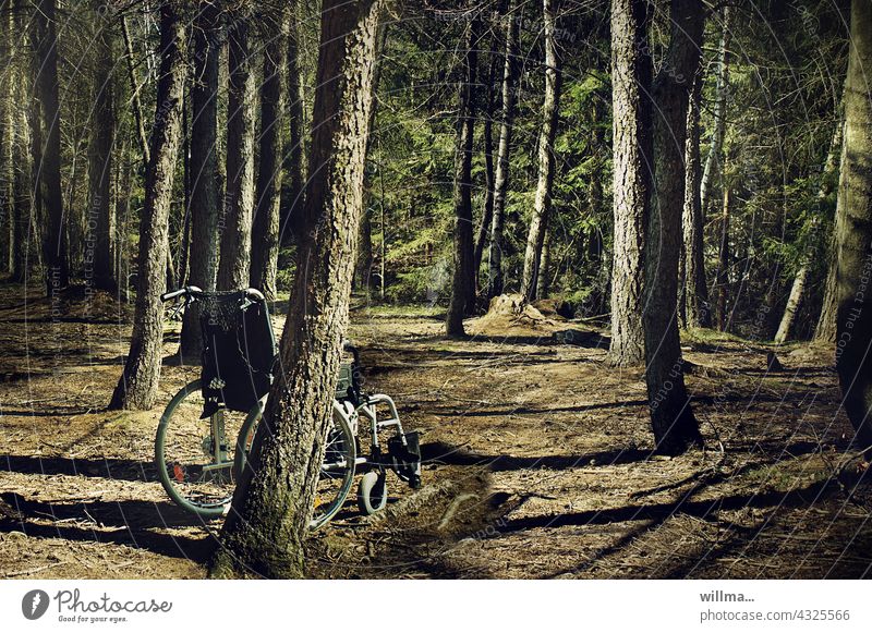 Mobilitätslücken Rollstuhl Wald Zwischenräume Lücken verlassen einsam menschenleer Nadelwald Baumstämme