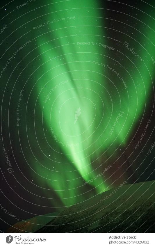 Spektakuläre Nordlichter in Tromso Aurora Kattfjorden Insel Kvalya Region Norwegen Winter Nacht borealis Landschaft Island Norden Raum Himmel nördlich