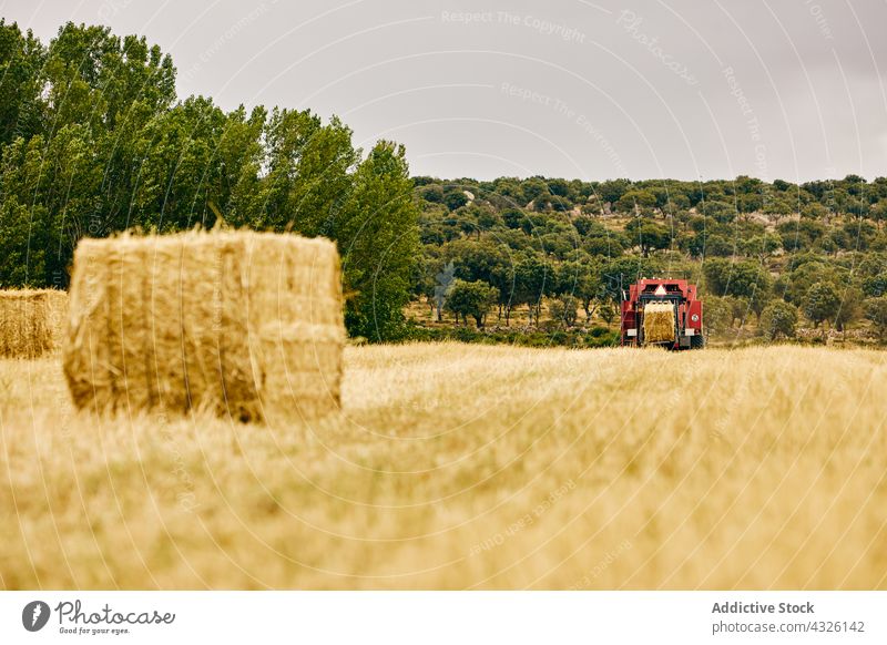 Traktor und Heuhaufen auf dem Feld rollen Heugarben getrocknet Ackerbau ländlich Sommer Landschaft Maschine Fahrzeug Verkehr Umwelt Bauernhof modern Saison