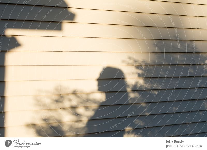 Schattenwurf einer Frau an der Seite eines Hauses in einem Vorort Silhouette Profil Seitenansicht 40s Mama heimwärts Hausbesitzer Mutter im Freien