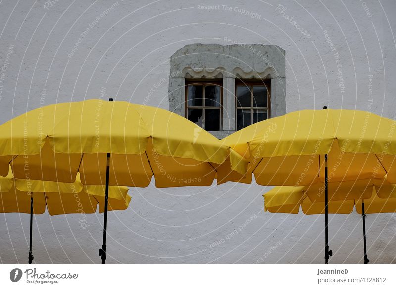 vier gelbe Sonnenschirme vor einer grauen Wand mit Fenster Wirtschaft Sommerurlaub Erholung Restaurant Tourismus Urlaubsstimmung reisen Schönes Wetter