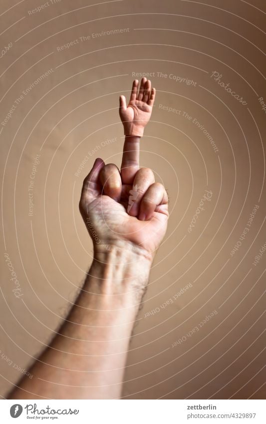 Hand mit Hand unter besonderer Berücksichtigung des Mittelfingers anatomie aufsatz daumen doppelt ersatz geste hand kleiner finger mann mensch mittelfinger