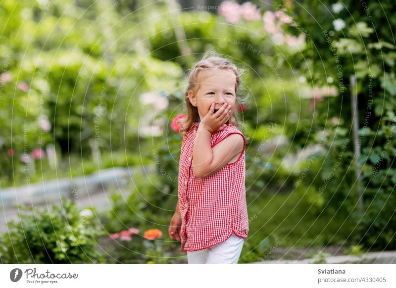 Ein bezauberndes Baby spielt im Garten, lacht und hält sich den Mund mit der Hand zu Spielen Gras Lächeln im Freien Glück Kind Park Spaß Natur Kindheit