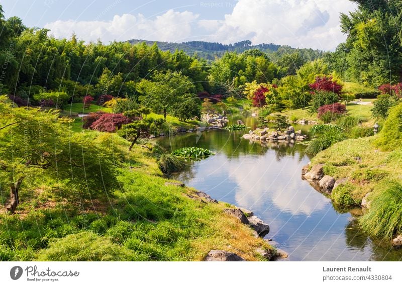 Japanischer Garten und Natur botanisch eden Wald grün idyllisch Landschaft ornamental Park Teich ländlich malerisch Frühling