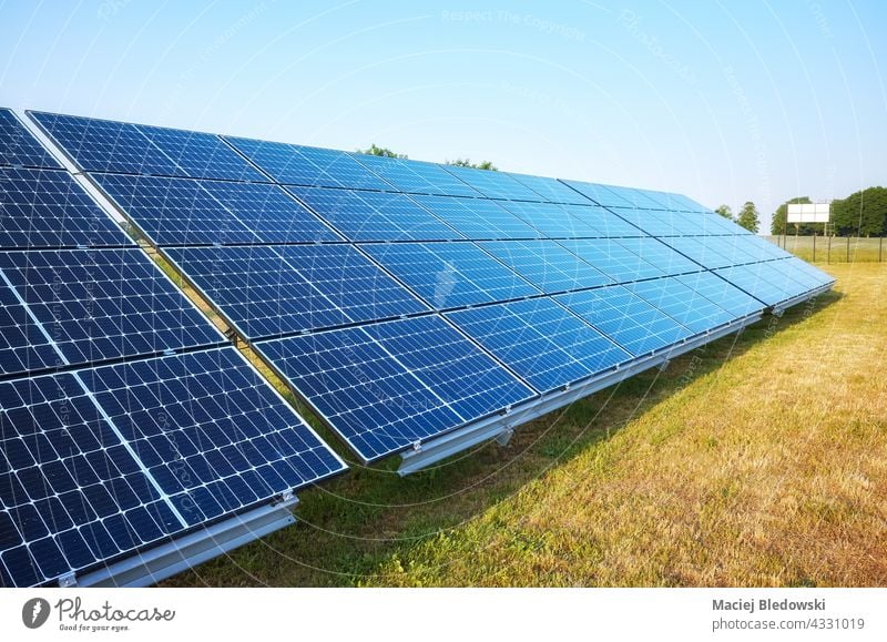 Bild von Solarmodulen an einem sonnigen Tag, selektiver Fokus. Sonnenkollektor Panel solar Öko Natur Technik & Technologie Hintergrund blau Energie Photovoltaik