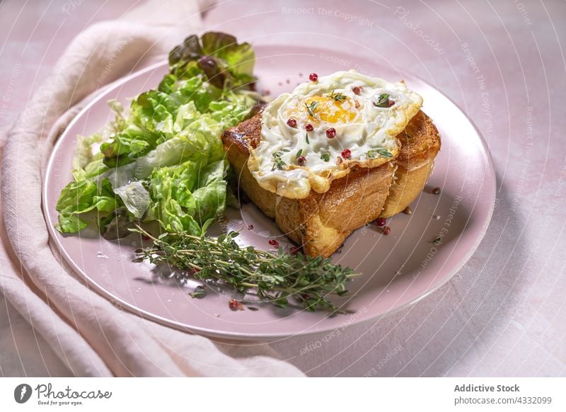 Spiegelei auf Brioche mit Kopfsalat auf rosa Teller gebraten Ei Frühstück appetitlich Ernährung dienen Tisch Lebensmittel lecker Mahlzeit Speise Salat grün