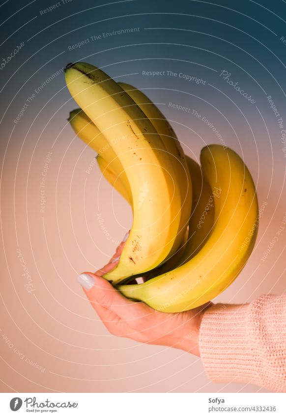 Bündel Bananen in der Hand einer Frau. Farbe Kunst Haufen nageln Lebensmittel Design modern Trends Diät Mode Maniküre Licht Korallen Frucht Mädchen Ernährung