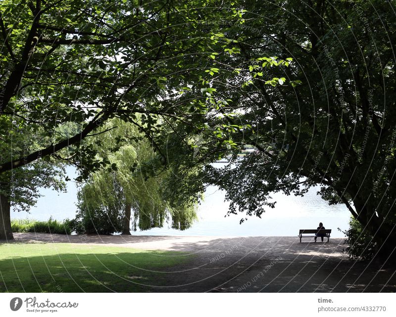 ParkTourHH21 | Bank am See bank sitzbank frau park allein baum bäume einsam friedlich verloren erholung erholen pause blätterwald wiese weg wasser ruhe see