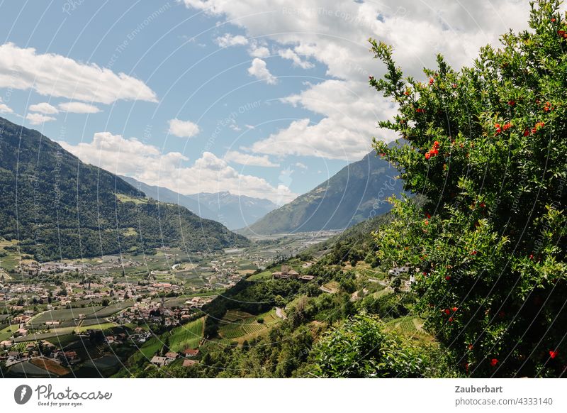 Blick ins Vinschgau-Tal bei Dorf Tirol in Südtirol Himmel Wolken Berge Landschaft Natur Sommer Schönes Wetter Ferien & Urlaub & Reisen Idylle Weitwinkel