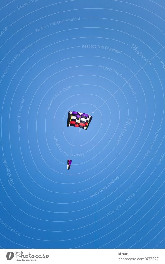 Kite Drache Freizeit & Hobby Spielen Basteln Drachenfliegen Sommer Sonne Drahtantenne Telekommunikation Luftverkehr Himmel Wolkenloser Himmel Sonnenlicht