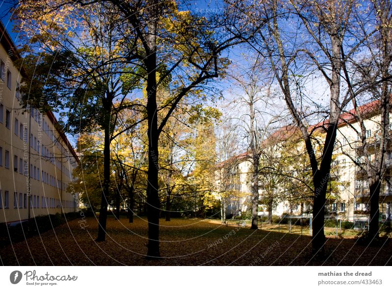 INNENHOF Umwelt Natur Himmel Wolken Herbst Schönes Wetter Pflanze Baum Haus Bauwerk Gebäude Architektur schön Innenhof Garten herbstlich mehrfarbig Blatt