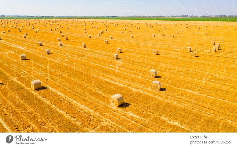 Luftaufnahme eines Feldes mit ausgekleideten Strohballen auf einem Acker oben quer Antenne landwirtschaftlich Ackerbau Ballen Müsli Land Ernte kultiviert