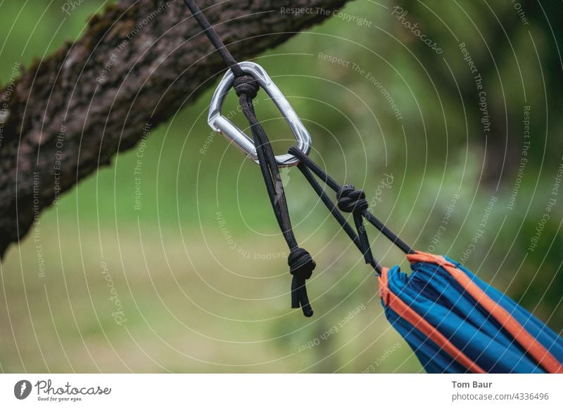 Karabiner an einer Hängematte welche an einem Baum befestigt ist Karabinerhaken Klettern Sicherheit Seil Außenaufnahme Tag Abenteuer karabiner Gurt Haken