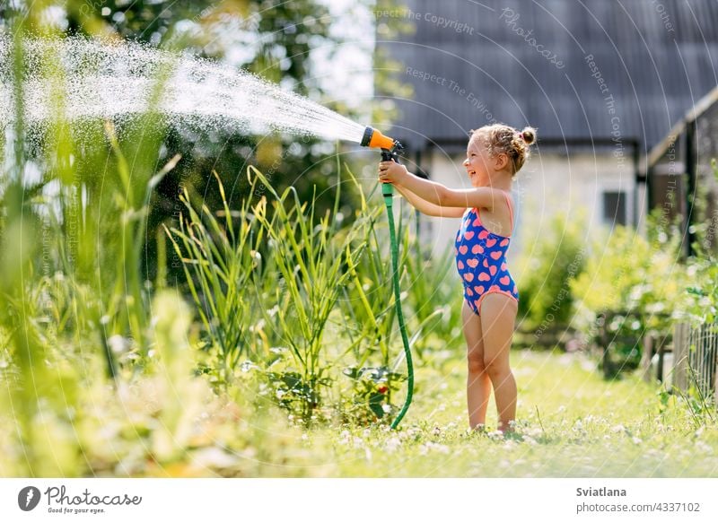 Charmantes Baby Mädchen wässert Pflanzen mit einem Schlauch im Garten im Hinterhof des Hauses an einem sonnigen Sommertag Kind wenig Spray Kindheit Wasser