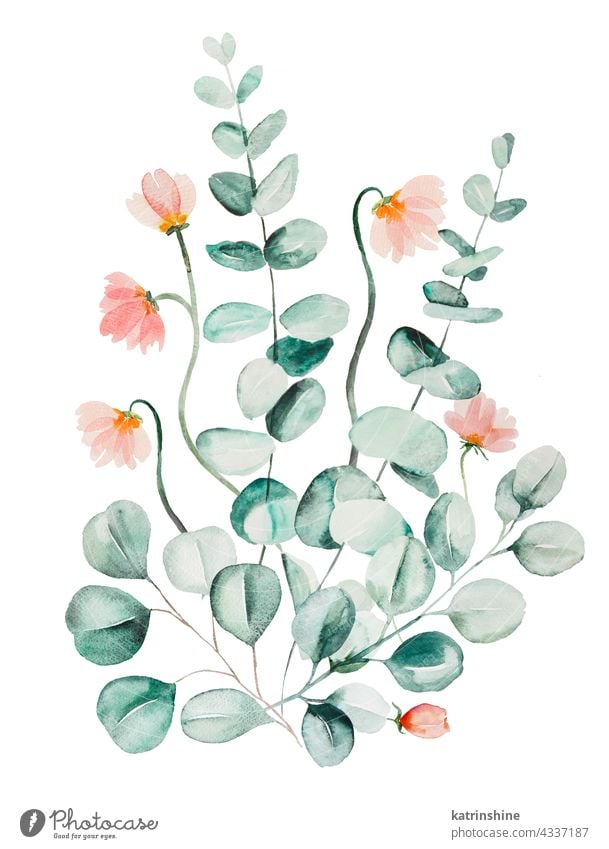 Aquarell rosa Blumen und grüne Eukalyptusblätter Bouquet Illustration botanisch Dekoration & Verzierung Zeichnung Element Laubwerk Garten handgezeichnet