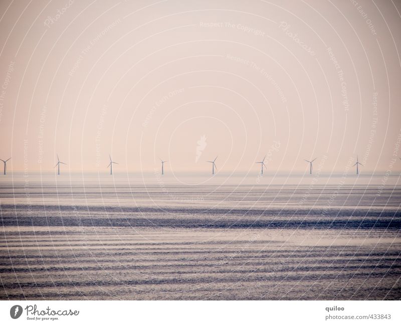 Windräder Erneuerbare Energie Windkraftanlage Wasser Küste Meer frisch Wärme braun schwarz Kraft ruhig Einsamkeit Fortschritt Horizont Netzwerk Symmetrie