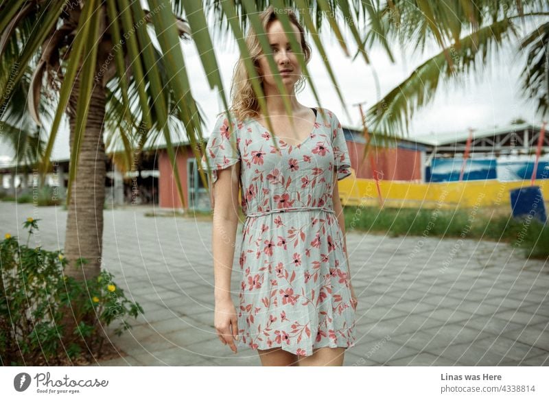 Ein Bild von einer Reise nach Vietnam. Ein wunderschönes blondes Mädchen posiert vor einer Kamera. Sie trägt ein Sommerkleid und ist in Urlaubsstimmung. Was für eine Zeit, in der man lebt!