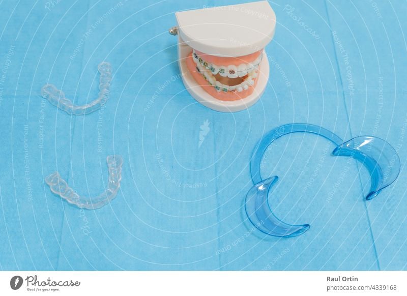 Zahnarztzubehör - Zahnersatzmodell mit Zahnspange Metall unsichtbar durchsichtig dental kieferorthopädisch Gesundheit Zahnmedizin medizinisch Mund Kiefer Model