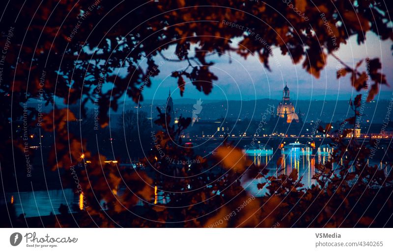 Dresden dresden sachsen lights licht citylights stadtlicht romantik sonnenuntergang sunset blätter leafs red rot Elbe River Fluss Panorama (Aussicht)