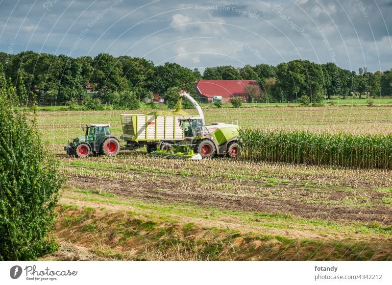 Esens, Deutschland - 07. Oktober 2020: Fernsicht auf zwei perfekt zusammenarbeitende Maiserntemaschinen, bestehend aus einem Maishäcksler und einem Traktor mit Kippanhänger, unter einem bewölkten Himmel.