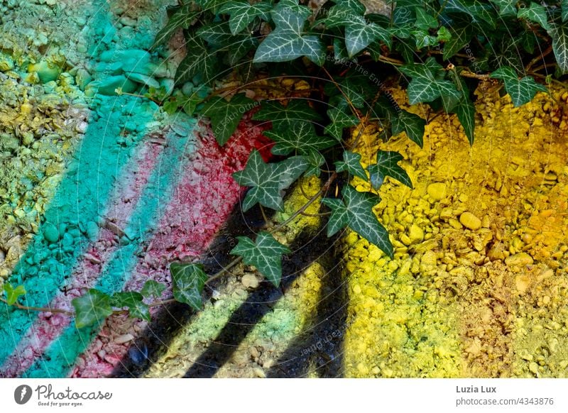 schön gezeichnete Efeublätter vor einer bunt besprühten Mauer grün Zeichnung Kletterpflanze unverwüstlich Graffiti Stadt Straße Wand Außenaufnahme Farben farbig