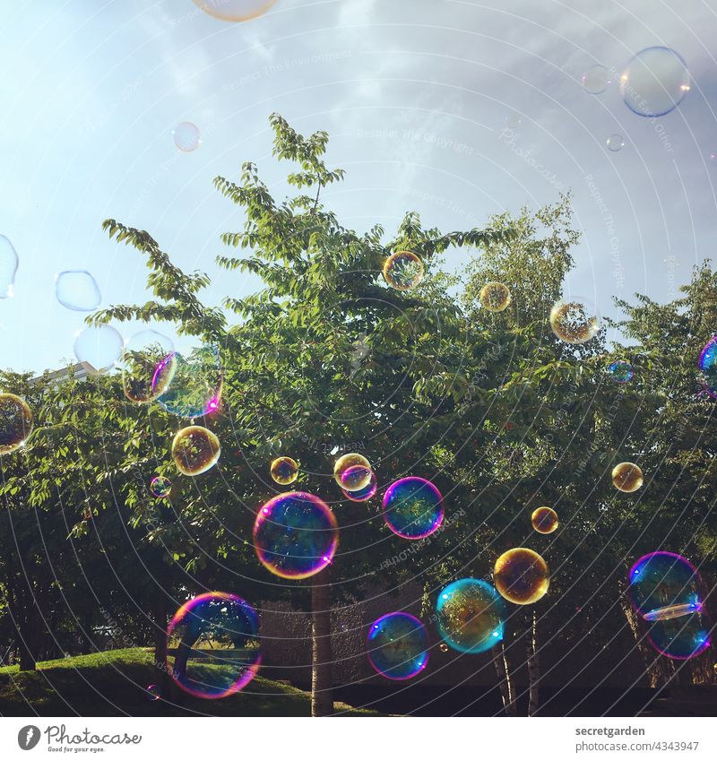 [PARKTOUR HH 2021] Die Welt in einer Kugel. Seifenblase Spass Baum Park Sommer pusten Farbfoto bunt seifig Kindheit Spielen Freude Außenaufnahme Tag