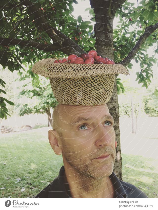 [PARKTOUR HH 2021] Kopflastig Kirsche Früchte Mann männlich Hut umgedreht sammeln Glatze Gesicht Garten ruhig Balance Mensch Porträt Bart Blick nach oben